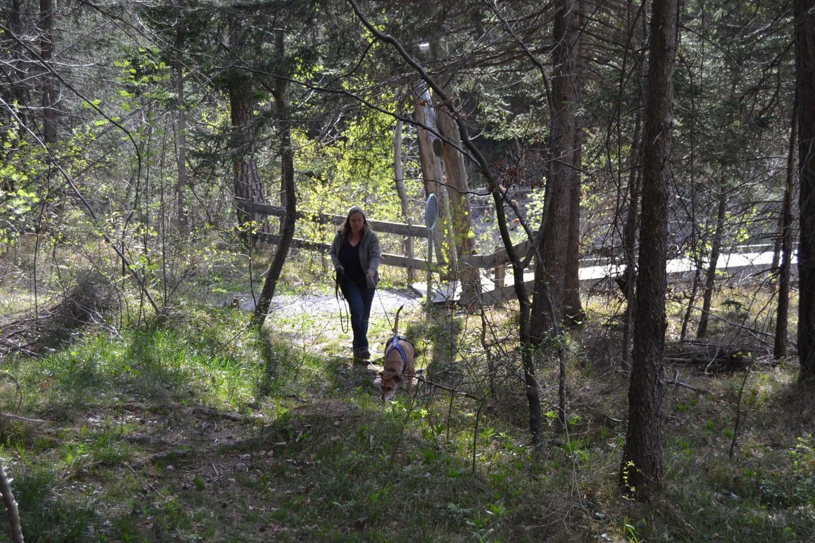 Sabine Krause am trailen mit Hund