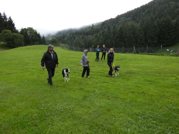 Gruppenstunde mit deinem Hund gewinnen