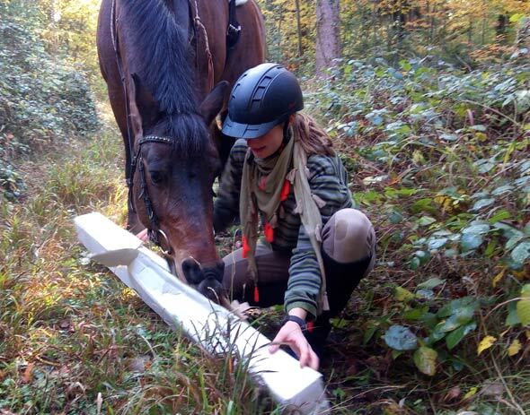 Mit Hund und Pferd - sinnvolle Beschäftigung