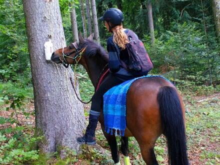 Mit Hund und Pferd unterwegs