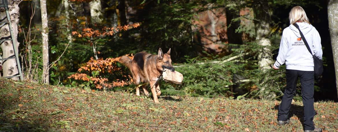 Ausbildung  Natural Dogmanship®-Instruktor