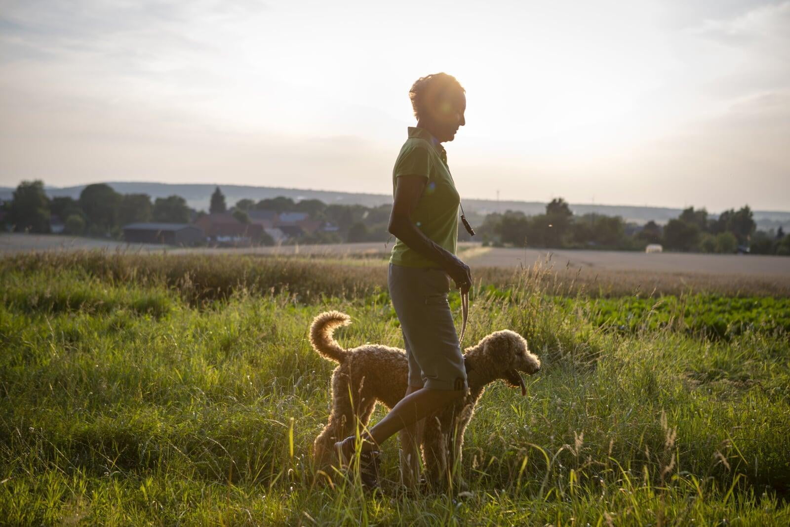 Gruppenstunden für gesellige Seniorinnen und Senioren mit Hund