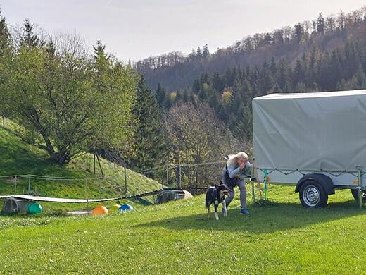 Gemeinsame Beschäftigung mit Hund