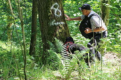 14.10.2023 Survival Trail Basis - Abenteuer mit deinem Hund in der Natur