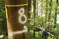 14.10.2023 Survival Trail Basis - Abenteuer mit deinem Hund in der Natur 14.10.2023 Survival Trail Basis - Abenteuer mit deinem Hund in der Natur