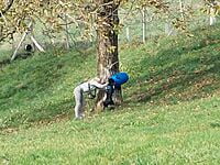 20.01. - 21.01.2024 Natural Dogmanship® Basis-Seminar 20.01. - 21.01.2024 Natural Dogmanship® Basis-Seminar