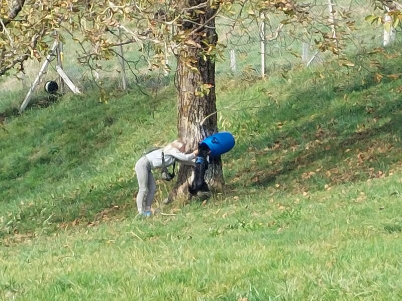 20.01. - 21.01.2024 Natural Dogmanship® Basis-Seminar 20.01. - 21.01.2024 Natural Dogmanship® Basis-Seminar