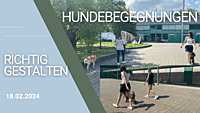18.02.2024 Hundebegegnungen richtig gestalten 18.02.2024 Hundebegegnungen richtig gestalten