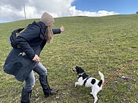 30.03.-31.03.2024 Natural Dogmanship® Follow-Up-Seminar 30.03.-31.03.2024 Natural Dogmanship® Follow-Up-Seminar