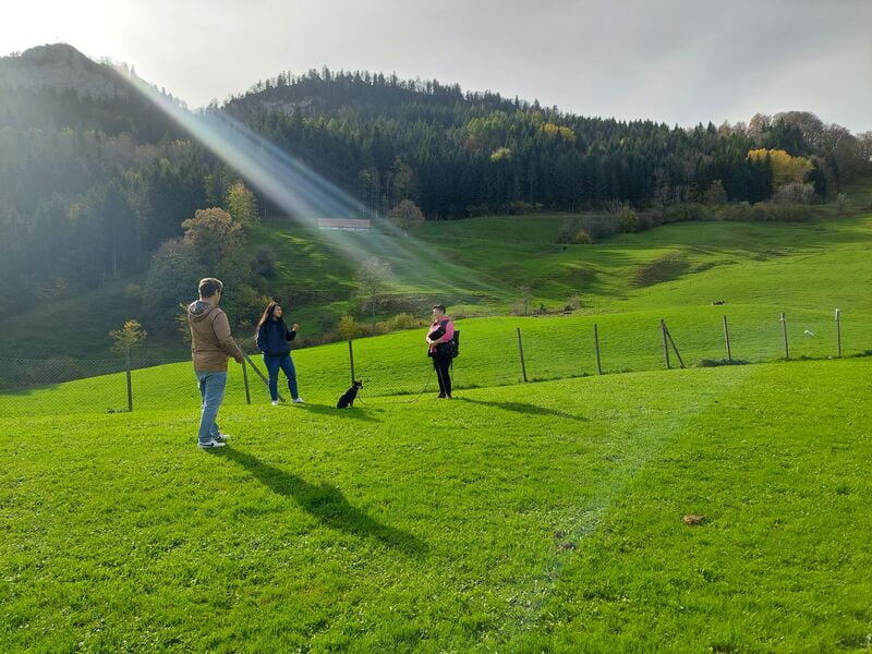 20.01. - 21.01.2024 Natural Dogmanship® Basis-Seminar 20.01. - 21.01.2024 Natural Dogmanship® Basis-Seminar