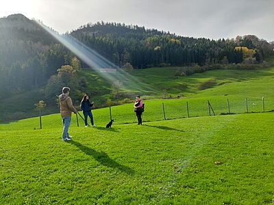 24.02. - 25.02.2024 Natural Dogmanship® Basis-Seminar