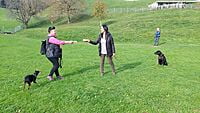 20.01. - 21.01.2024 Natural Dogmanship® Basis-Seminar 20.01. - 21.01.2024 Natural Dogmanship® Basis-Seminar