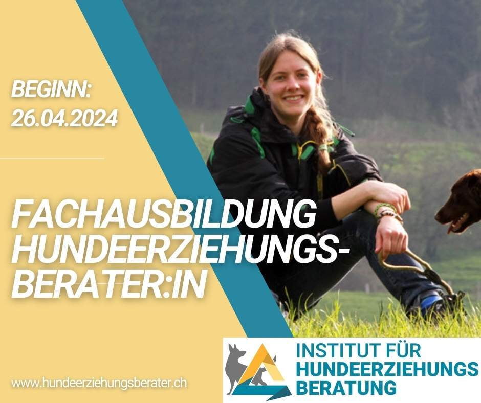 Hundetrainer werden